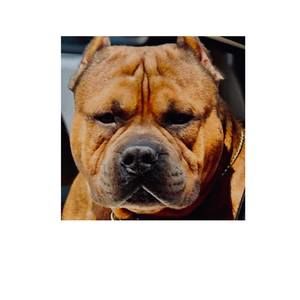 Meet your Posher, Randy